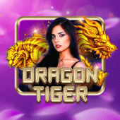 Dragon Tiger live table on ph2222
